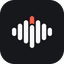 Plaud icon